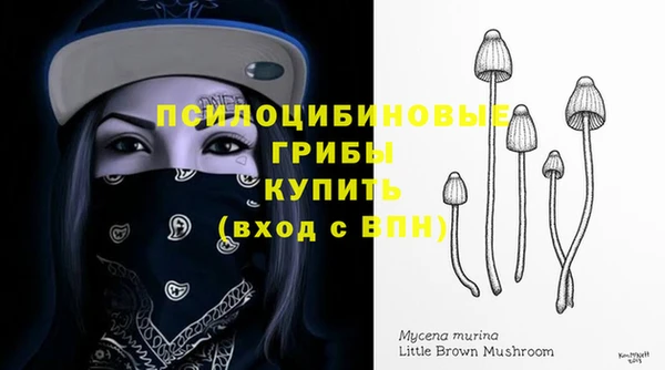 метамфетамин Елизово