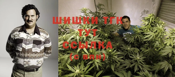 соль курить ск Ельня