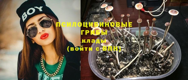 бутират Елабуга