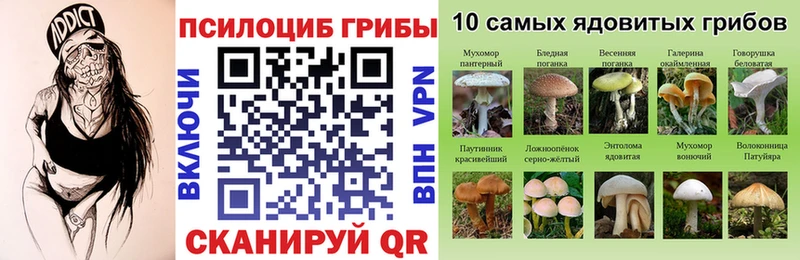 хочу наркоту Новошахтинск Галлюциногенные грибы ЛСД